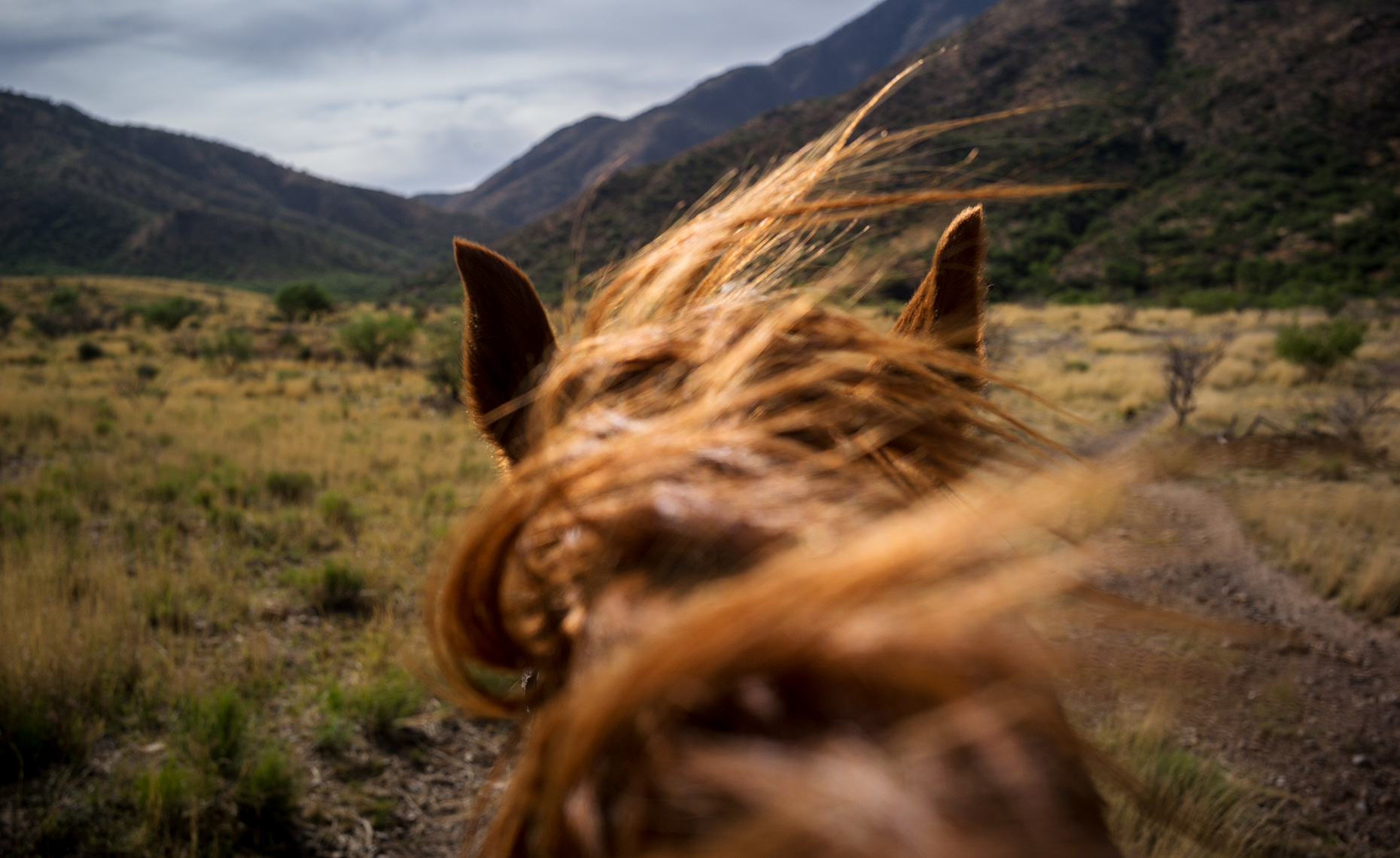 Rubinstein Photographer + Director| Agriculture |Minneapolis, Minnesota Advertising, Editorial, Portrait and Corporate  Photographer | Photojournalism | Storytelling