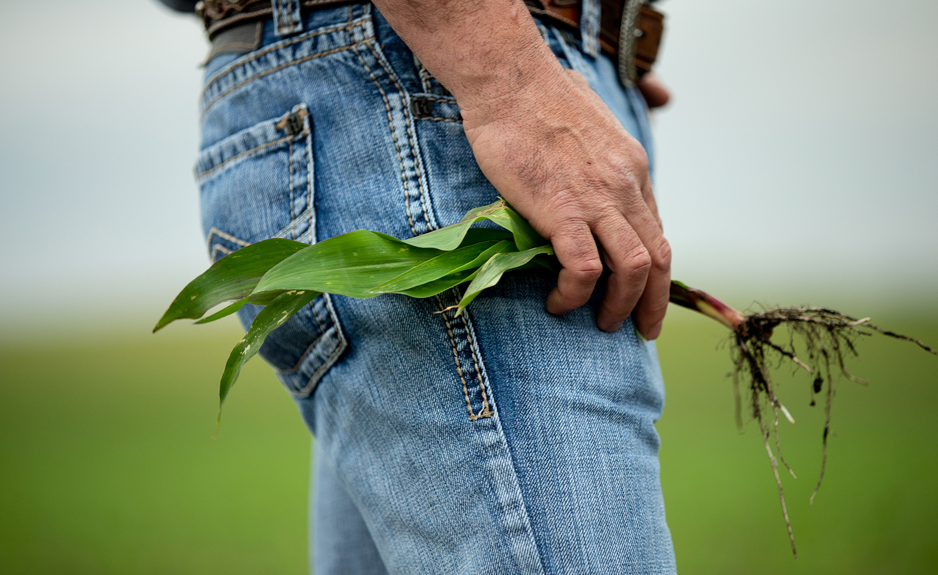 Rubinstein Photographer + Director| Agriculture |Minneapolis, Minnesota Advertising, Editorial, Portrait and Corporate  Photographer | Photojournalism | Storytelling